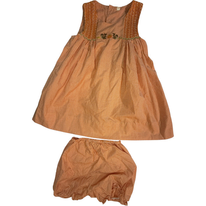 18M Orange Gingham Squirrel Smocked Sleeveless Dress with Matching Bloomers EUC