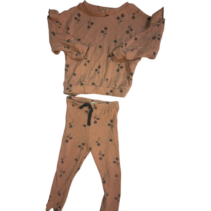 2T Jessica Simpson Coral Floral Sweatsuit Set Play
