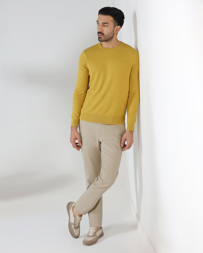 Beige Non Iron Solid Khakis - Tigiris