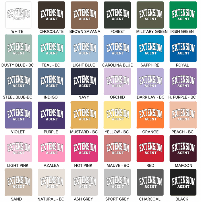 Varsity Extension Agent– Hoodie