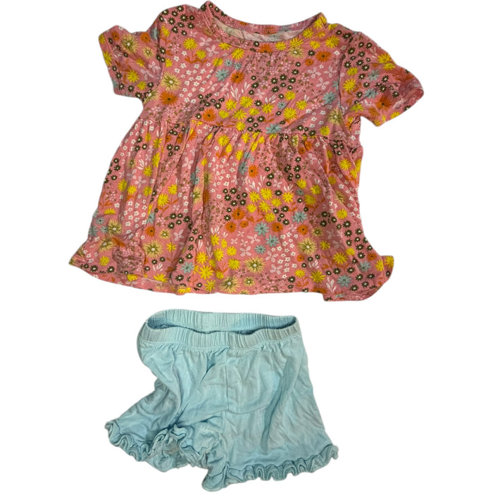 Posh Peanut Pink Floral Bamboo Blouse & Baby Blue Ruffle Shorts Set size 2T good used condition