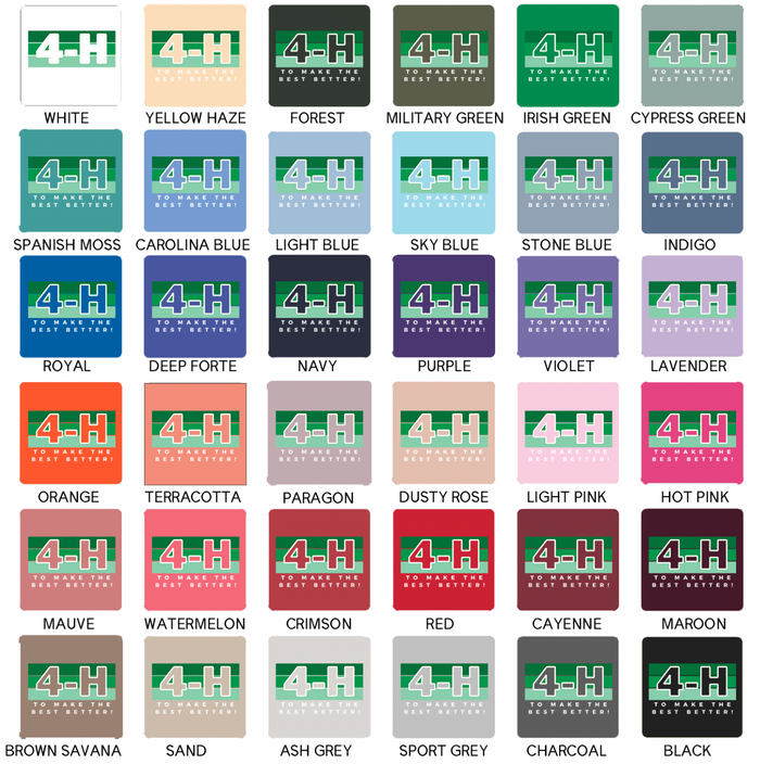 4-H Colorblock– Crewneck