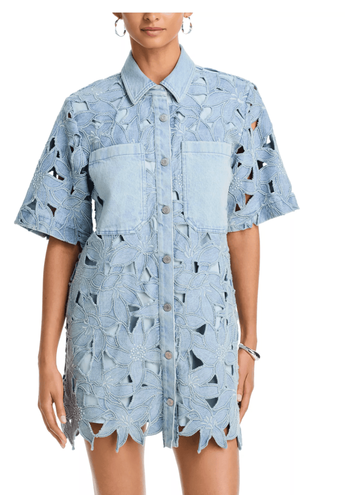 Calyn Mini Shirt Dress - Amor Lafayette