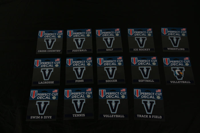 Car Decal V - Any Sport