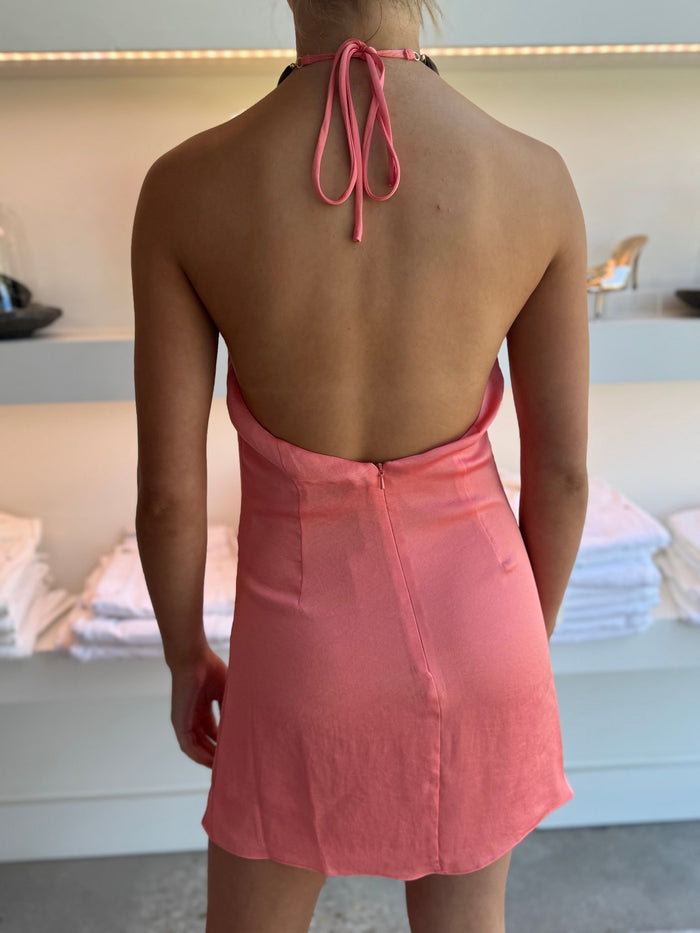 Coral Halo Dress - Amor Lafayette