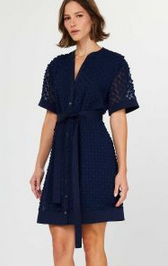 Current Air Split Neck Textured Button Down Dress