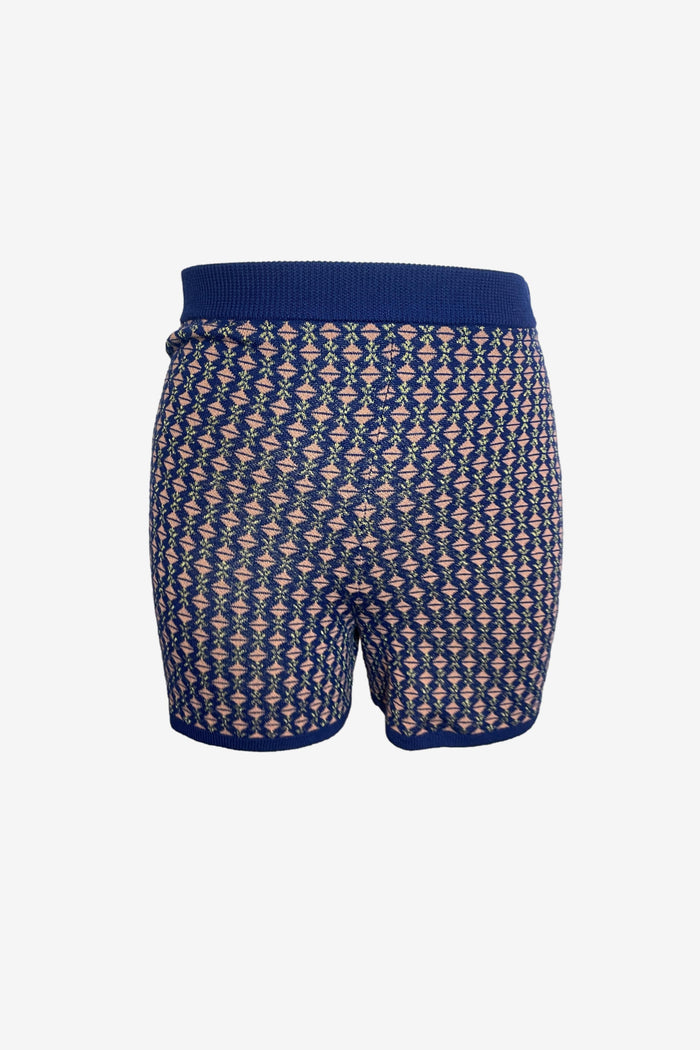 Dries Van Noten Navy & Pink Jacquard Knit Shorts image 0