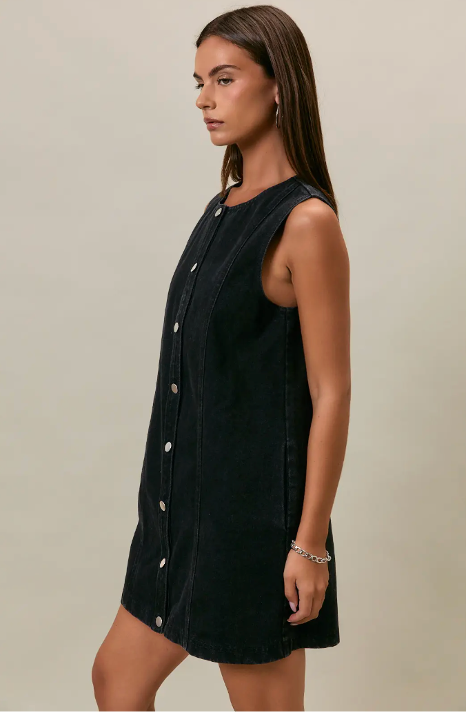 Le Lis Button Down Denim Dress