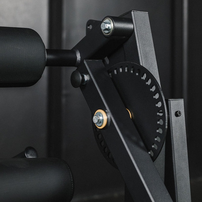 Leg Extension & Hamstring Curl Machine