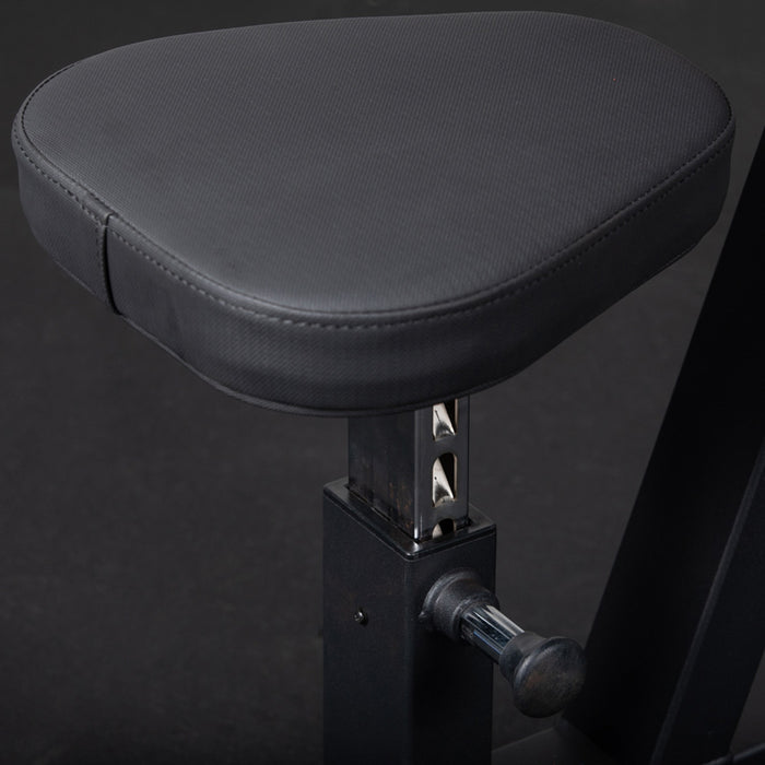 Preacher Curl Bench