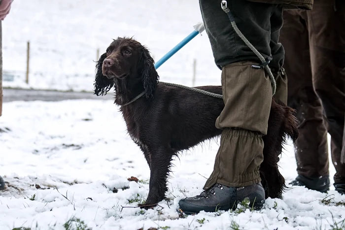 Seeland Buckthorn Gaiters