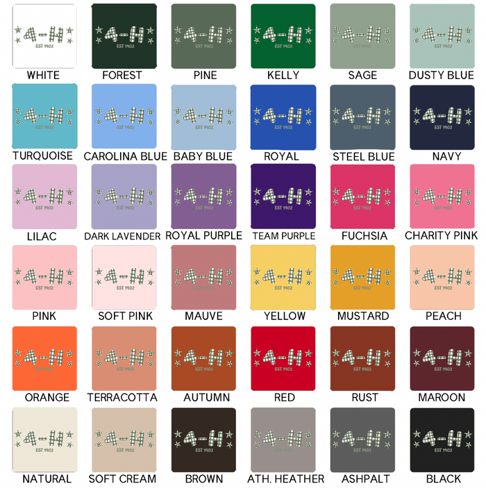 Star Checker 4-H Est. 1902- Bella Canvas T-Shirt
