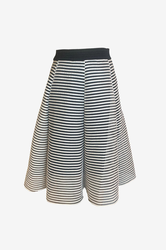 Vg Edition Striped A-Line Midi Skirt image 0
