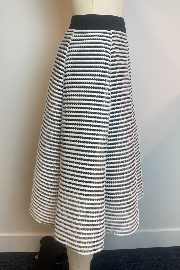Vg Edition Striped A-Line Midi Skirt image 1